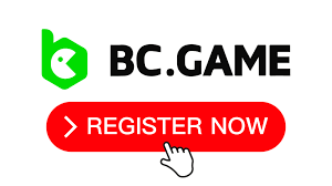 Understanding the BC.Game Privacy Policy Understanding the BC.Game Privacy Policy