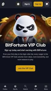 Bitfortune Canada Review 2027 - A Comprehensive Guide to Online Gaming