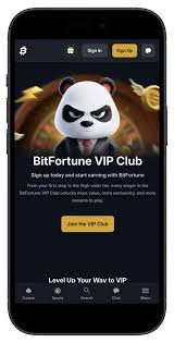 Bitfortune Live Crypto Casino Security How Safe is Your Online Gaming Experience