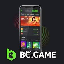 Discover the Excitement of BC Fun Mirror