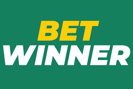 BetWinner Casino Platform Your Ultimate Gaming Destination