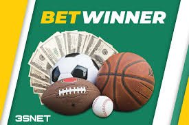 Exploring the BetWinner Platform A Comprehensive Guide 500728535
