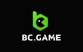 Understanding Payments at BC.Game A Comprehensive Guide