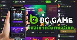 Understanding the BC.Game Verification Process